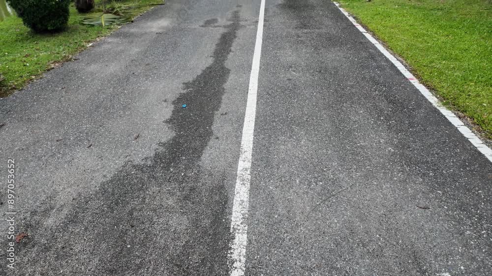 Wet Asphalt Path With White Line and Green Grass Wet Asphalt Path With White Line and Green Grass