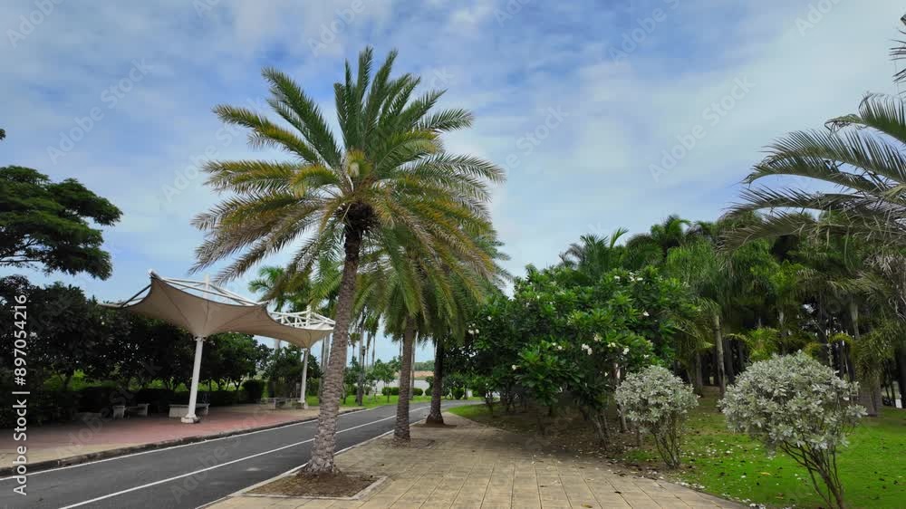 Palm Trees and a Covered Walkway on a Sunny Day