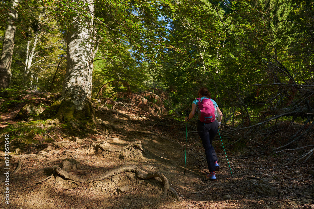 Woman hiker with backpack and poles on a trail Woman hiker with backpack and poles on a trail
