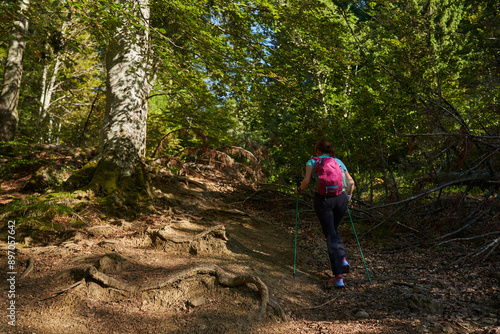 Woman hiker with backpack and poles on a trail © Xalanx