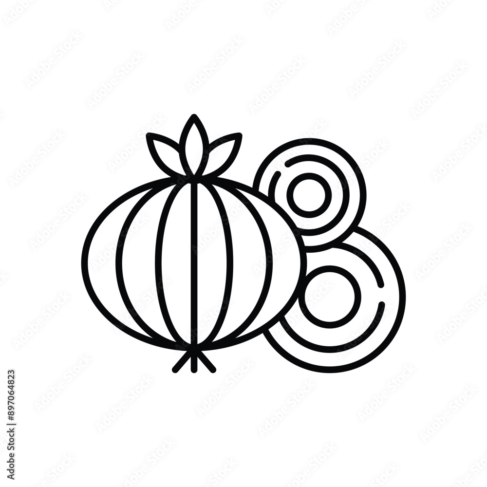 Onion vector icon Onion vector icon