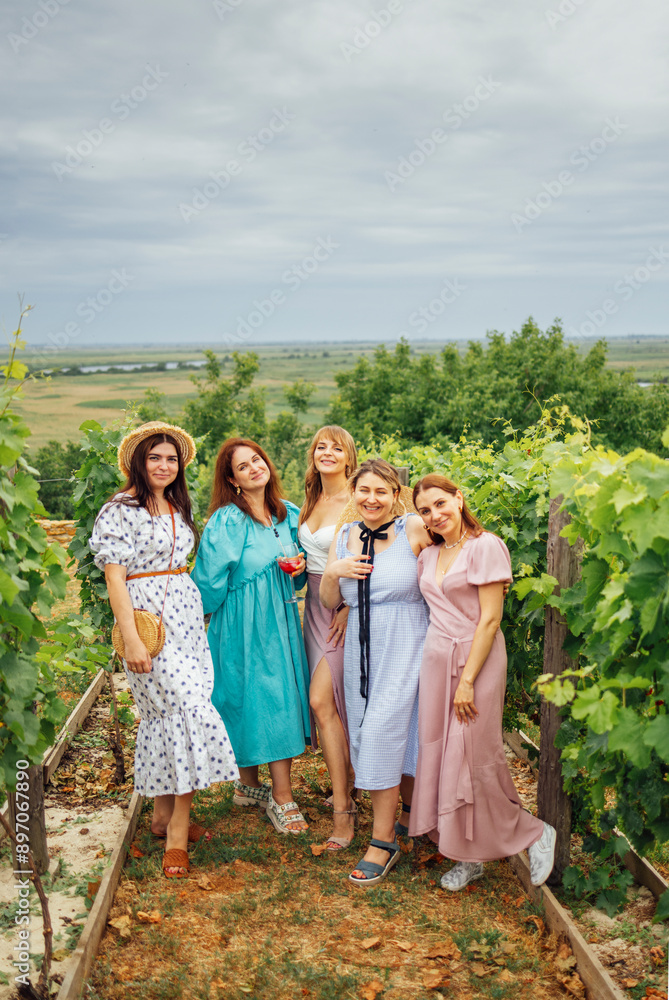Fototapeta premium Five young smiling women in elegant dresses and straw hat are hugging and posing at the camera on the vineyard.