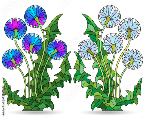 A set of stained glass illustrations with abstract dandelion flowers, bouquets isolated on a white background