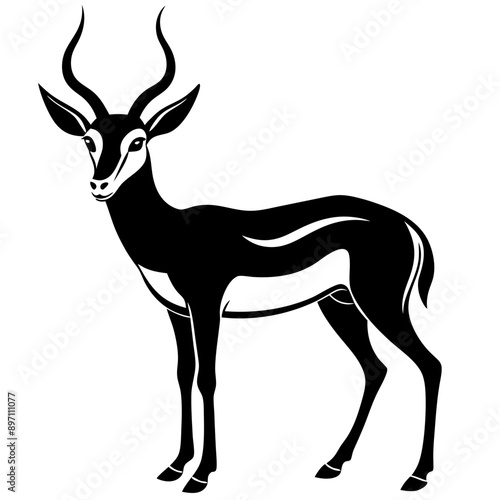 springbok vector art illustration vector illustration