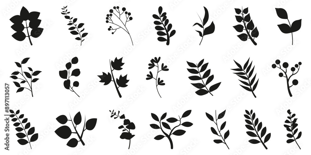 botanical plants flower silhouette botanical plants flower silhouette