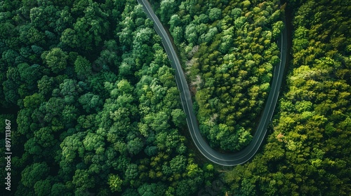 The aerial view captures the beauty of a winding forest road surrounded by lush greenery and tall trees