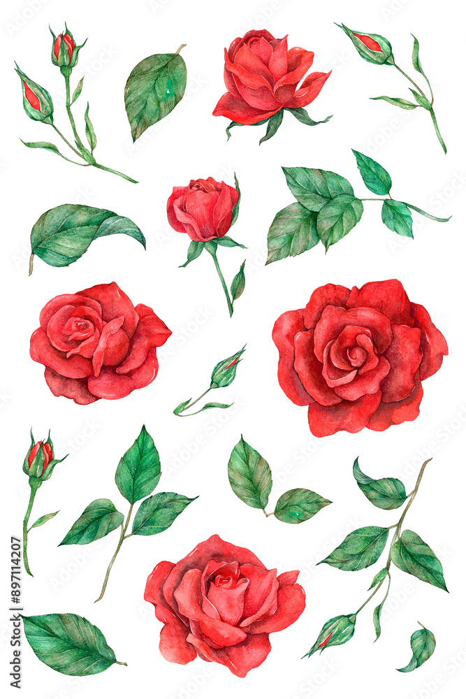 Naklejka premium Png rose and leaf set painting style