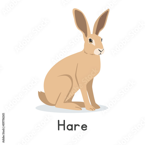 Hare vector illustration. Cute hare cartoon clipart, animal in flat style. Farm animals concept, rural farming. Livestock animal or wild hare vector design isolated on white background