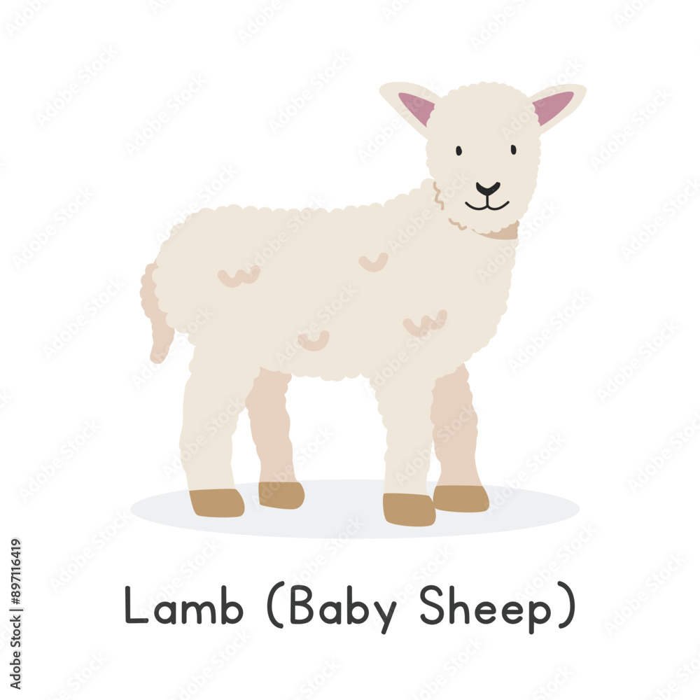 Naklejka premium Lamb (baby sheep) vector illustration. Cute lamb cartoon clipart, animal in flat style. Farm animals concept, rural farming. Livestock animal baby sheep vector design isolated on white background