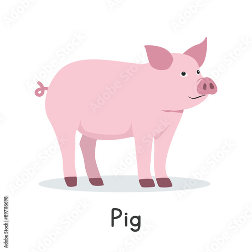 Pig vector illustration. Cute pink pig cartoon clipart, animal in flat style. Farm animals concept, rural farming. Livestock animal pig vector design isolated on white background