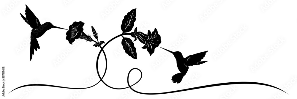 Fototapeta premium hummingbird and flower vector