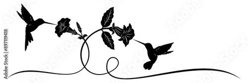 hummingbird and flower vector