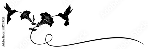 hummingbird and flower vector