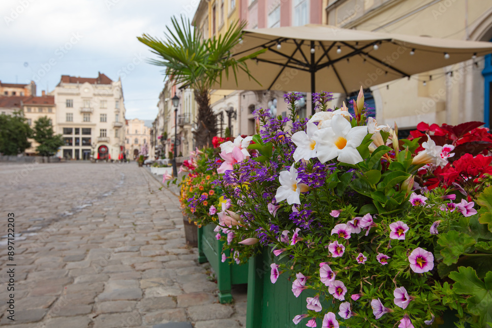 Fototapeta premium Flowers in Lviv city center