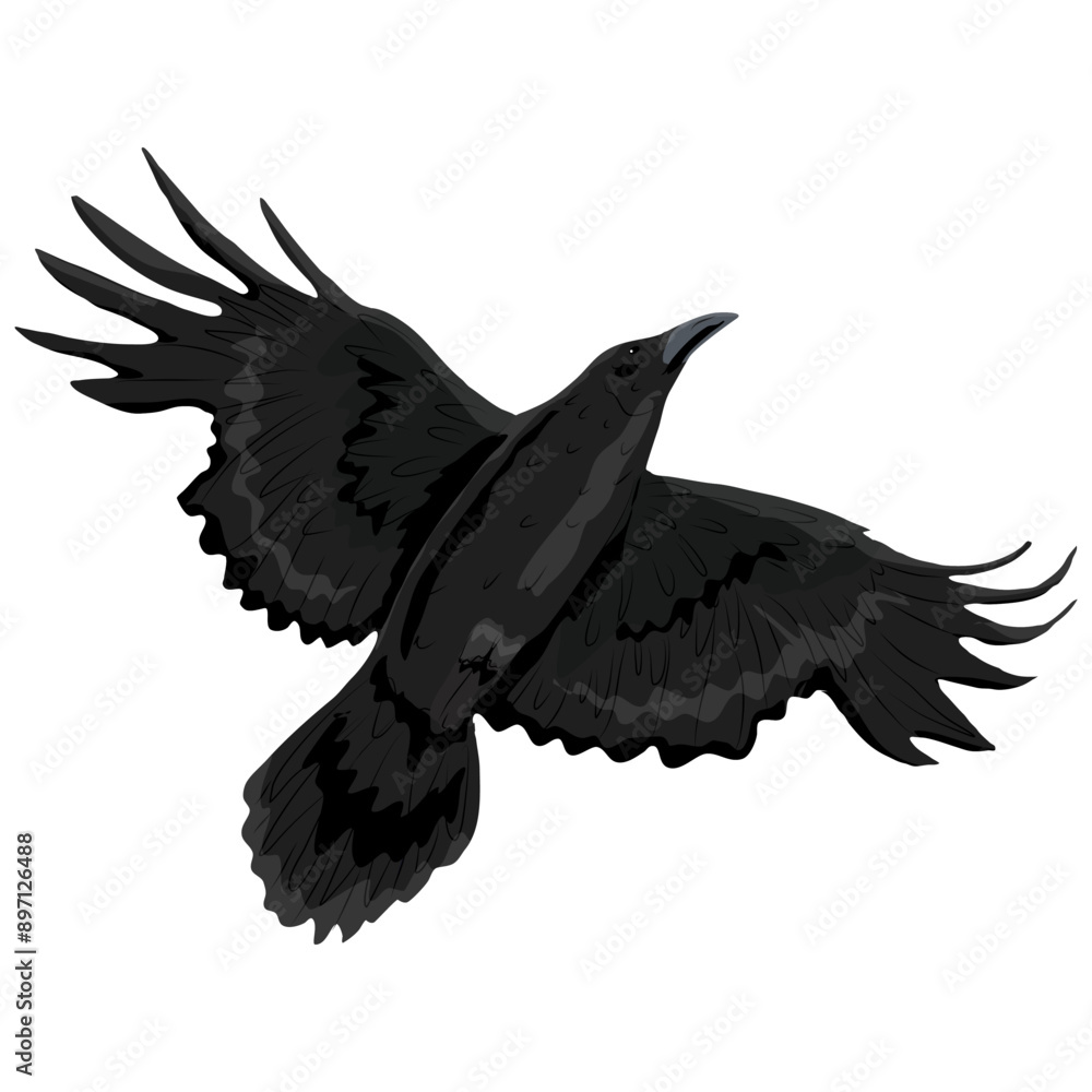 Obraz premium Black crow flies. Realistic vector bird