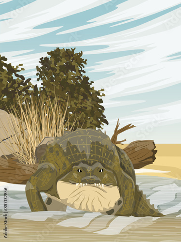 Nile crocodile Crocodylus niloticus enters the water. Shore of a shallow river with tree trunk, stones and bushes. Realistic vertical vector landscape