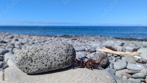 stones on the beach