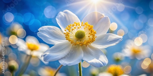 Delicate white anemone flower with vibrant yellow stamens stands out against a brilliant blue sky, surrounded by soft, dreamy bokeh in a stunning macro shot.