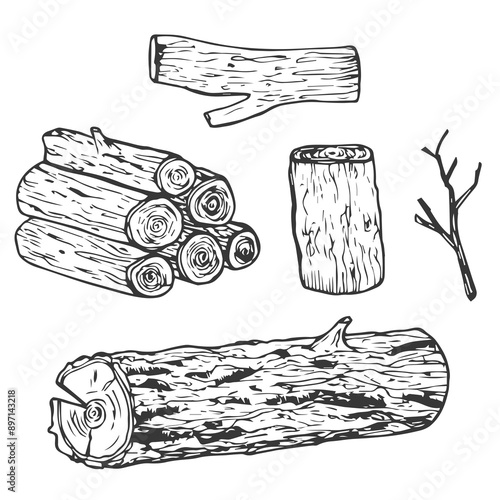 Wooden logs and twigs sketch on white background. Vector illustration of timber and wood stump. Firewood hand drawing line sketch