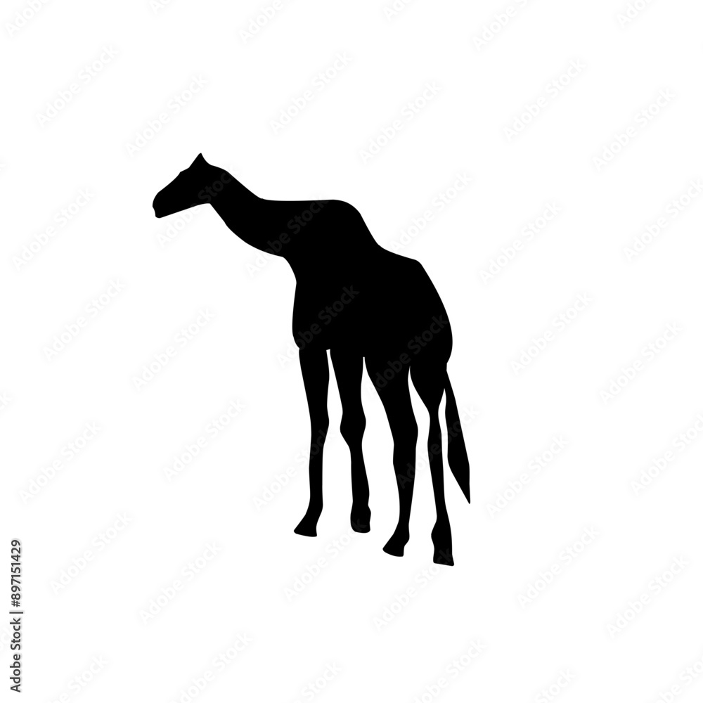 Obraz premium Silhouettes of animals in zoo collection on white background. Vector illustration.