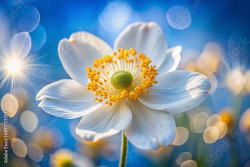 Detail with shallow focus of white anemone flower with yellow stamens in nature macro on background of blue sky with beautiful bokeh. Delicate artistic image of beauty of nature.