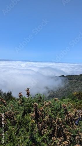 fog over the mountain