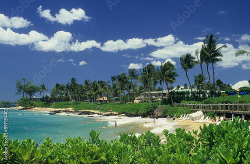 a beach in Maui Hawaii