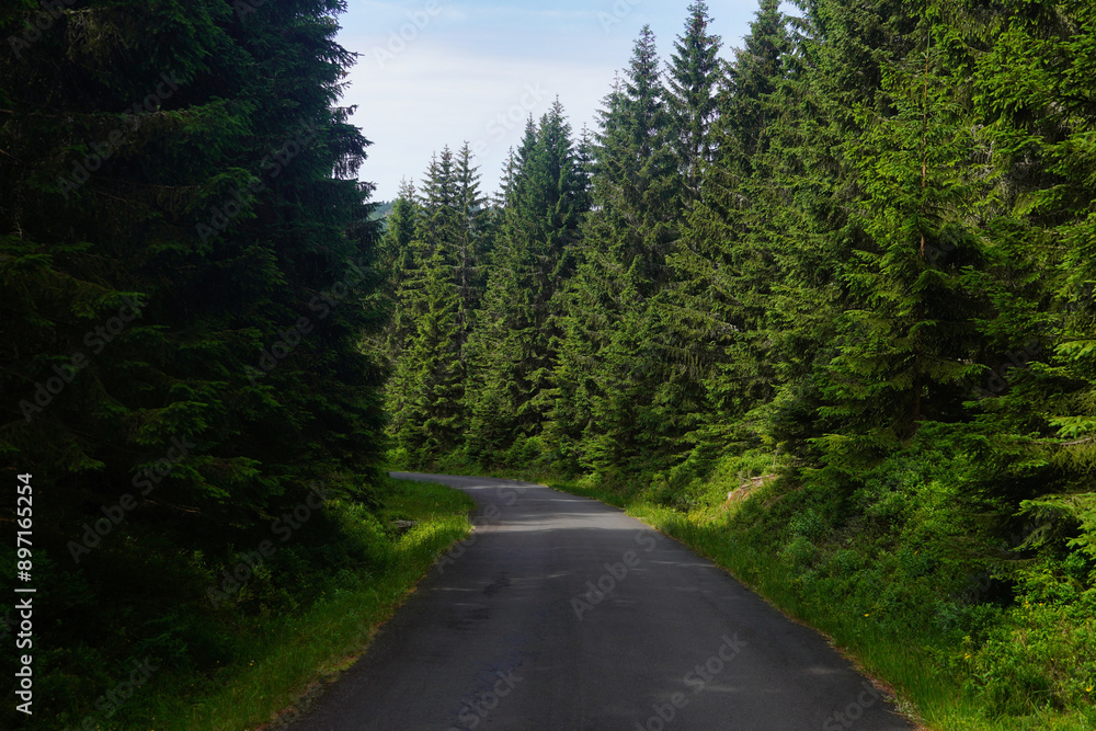 A road through a beautiful forest in the Czech Karkonosze Mountains. A road through a beautiful forest in the Czech Karkonosze Mountains.