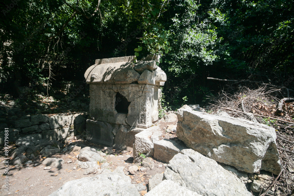 The ruins of the ancient city of Olympos, Turkey. The ruins of the ancient city of Olympos, Turkey.