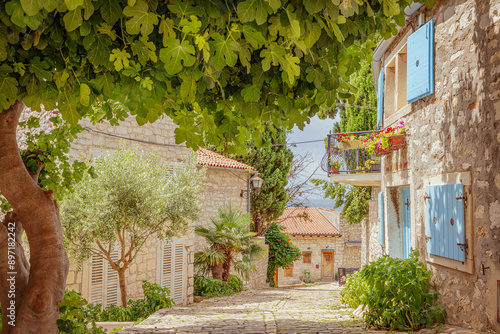 A beautiful courtyard located in the Istrian town of Rovinj, Croatia, Europe, summer flowers, bright, airy space, vibrant colours, no people