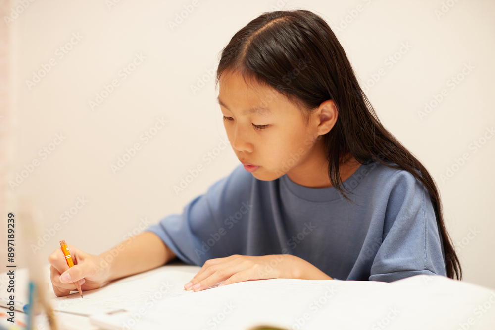 夏休みの小学生の女の子が家で宿題をする姿 夏休みの小学生の女の子が家で宿題をする姿