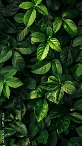 A vibrant green leaves pattern provides a natural and calming background