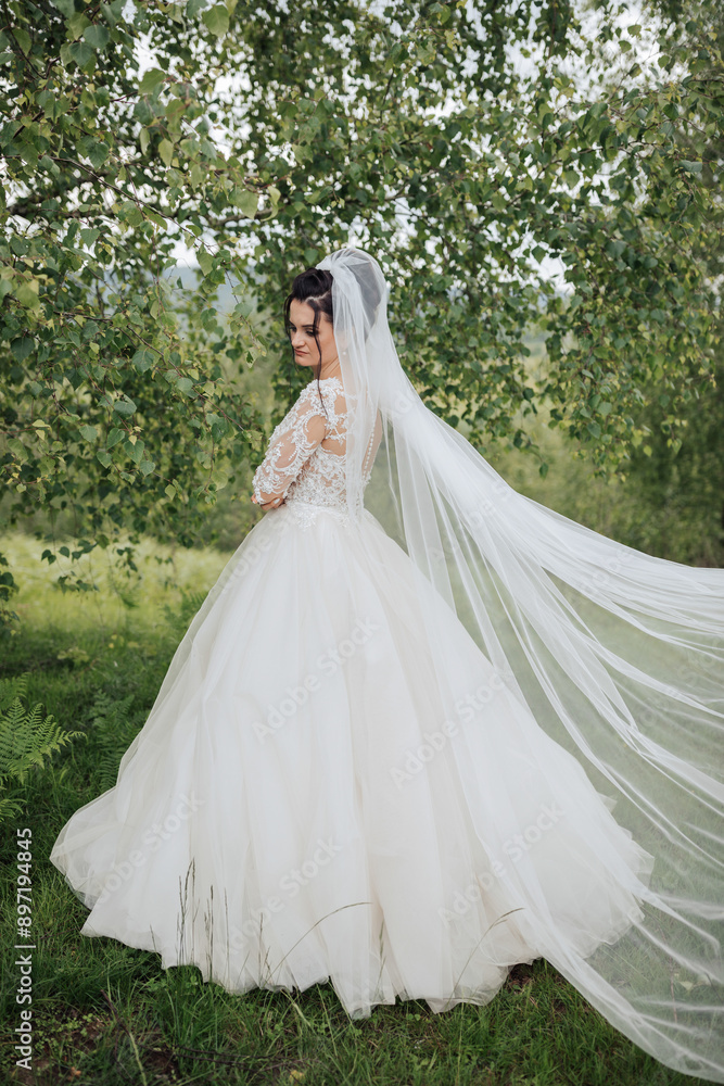 Fototapeta premium A bride is standing in a field with a white veil and a long train