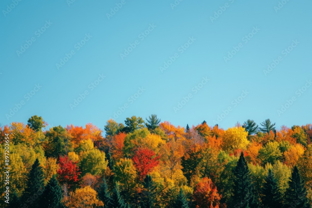 A group of trees that are positioned closely to one another, creating a visually striking display of nature, Fall foliage in minimalist style on a clear day, AI Generated A group of trees that are positioned closely to one another, creating a visually striking display of nature, Fall foliage in minimalist style on a clear day, AI Generated