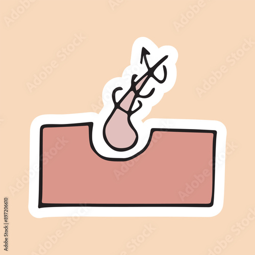hair. the hair bulb. the scalp. hair loss. recovery. vector. doodle. icons. drawing. the method of protection.
