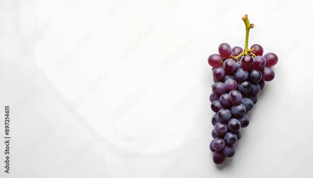 A bunch of purple grapes with leaves, on a white background, the grapes are plump and juicy, and the leaves are green and bright. A bunch of purple grapes with leaves, on a white background, the grapes are plump and juicy, and the leaves are green and bright.