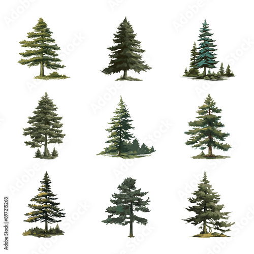Set of evergreen Tree pine trees isolated on white background