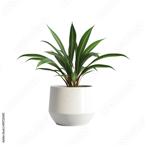 Wallpaper Mural a plant in a pot Torontodigital.ca