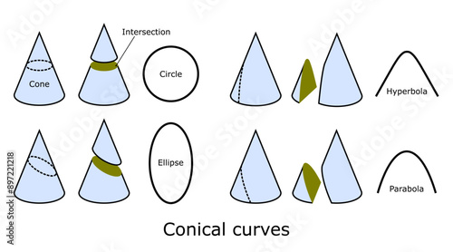 Conical curves, vector illustration isolated on white