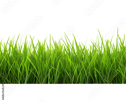 Green grass frame isolated on transparent background.
