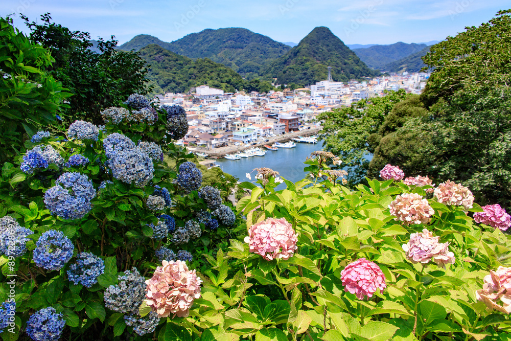Obraz premium Panoramic View of Shimoda Town with Vibrant Hydrangeas in Foreground