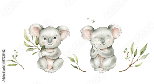 Photography Set of cute kawaii koalas sitting with green branch eucalyptus and sleeping