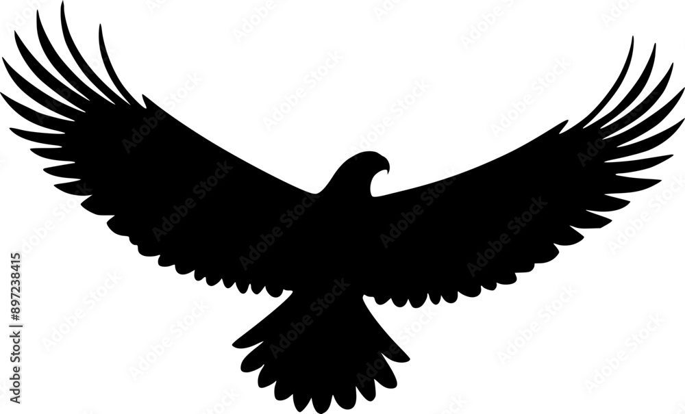 Obraz premium Silhouette flying eagle