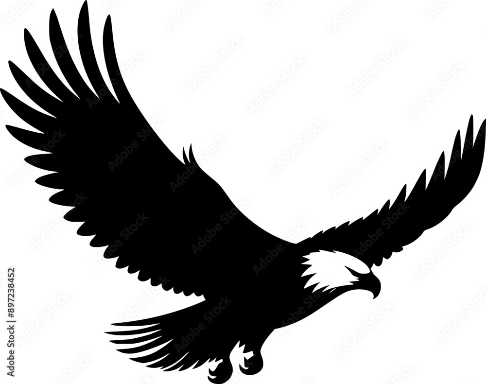 Obraz premium Eagle in flight, flying eagle 