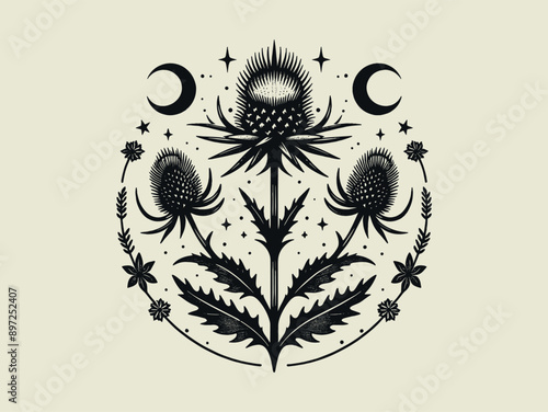 Thistle. Black vintage vector engraving illustration. abstract, magical. Cut out, emblem, print.
