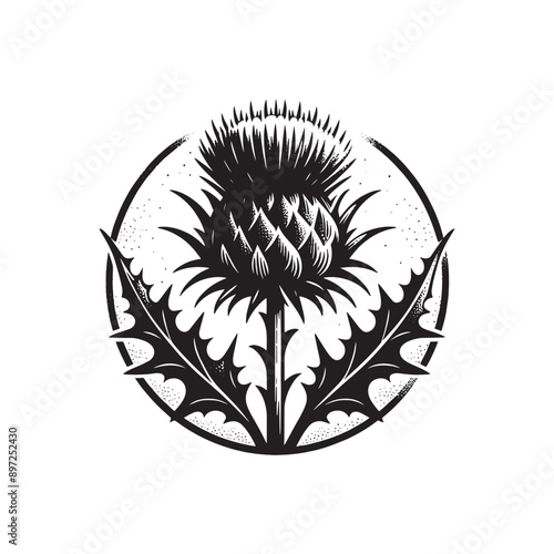Thistle. Black vintage vector engraving illustration. Cut out, emblem, print.