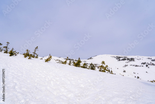 残雪期の会津駒ケ岳 photo