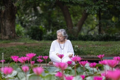 Elderly Woman Sitting Peacefully on Dock Surrounded by Blooming Pink Lotus Flowers in Pond photo