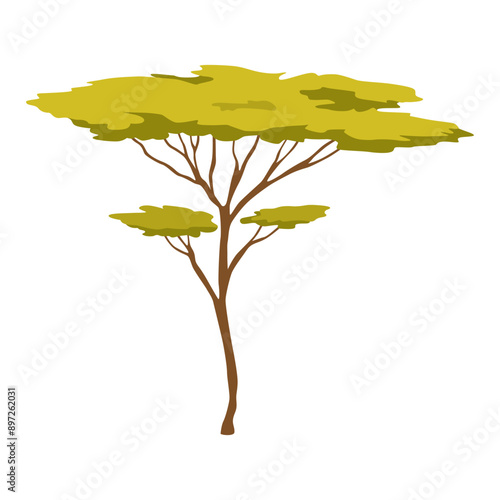 Three shapes of beautiful trees in African nature, vector illustration isolated no background