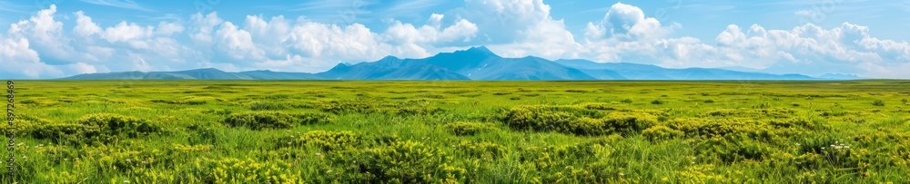 panoramic landscape of a lush green meadow with mountains in the distance under a blue sky with white clouds - perfect for nature and travel themes panoramic landscape of a lush green meadow with mountains in the distance under a blue sky with white clouds - perfect for nature and travel themes